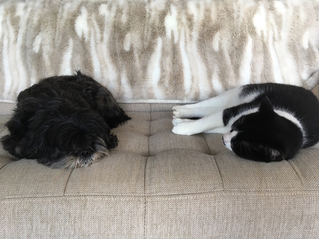 Picture