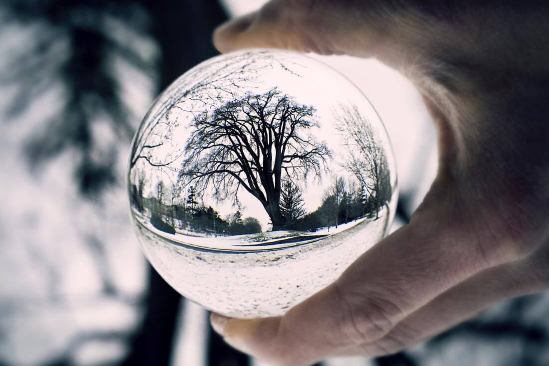 Picture