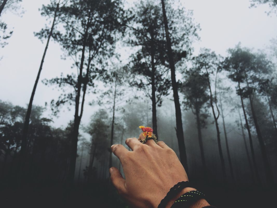 Picture